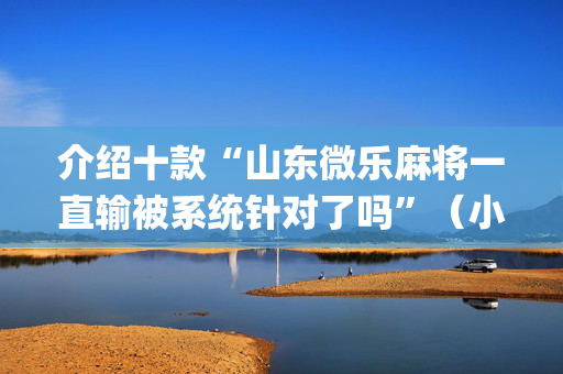 介绍十款“山东微乐麻将一直输被系统针对了吗”（小程序辅助软件)