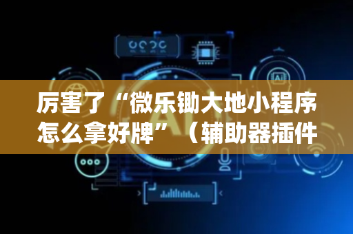 厉害了“微乐锄大地小程序怎么拿好牌”（辅助器插件)