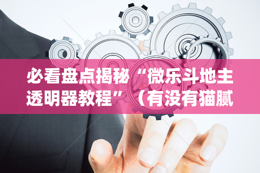 必看盘点揭秘“微乐斗地主透明器教程”（有没有猫腻)
