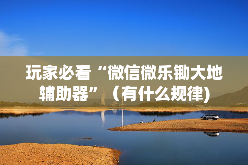 玩家必看“微信微乐锄大地辅助器”（有什么规律)