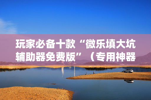 玩家必备十款“微乐填大坑辅助器免费版”（专用神器下载)