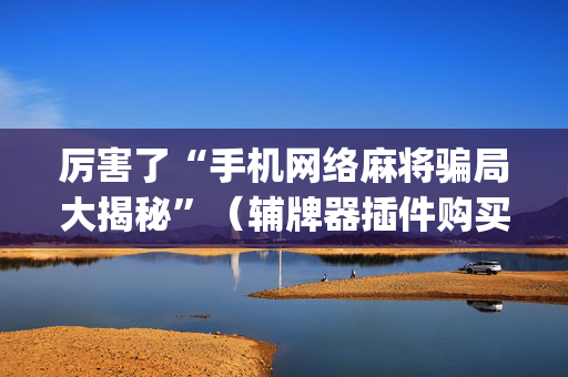 厉害了“手机网络麻将骗局大揭秘”（辅牌器插件购买)