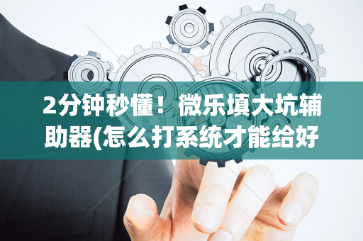 2分钟秒懂！微乐填大坑辅助器(怎么打系统才能给好牌)