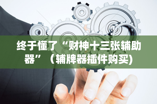 终于懂了“财神十三张辅助器”（辅牌器插件购买)