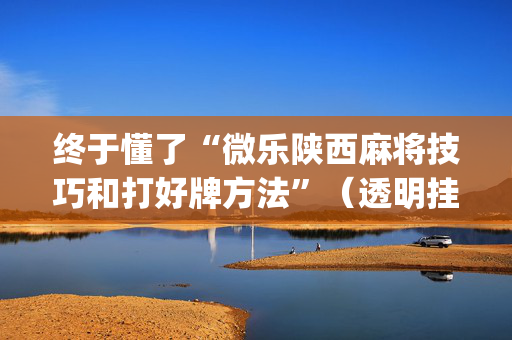终于懂了“微乐陕西麻将技巧和打好牌方法”（透明挂辅助器)
