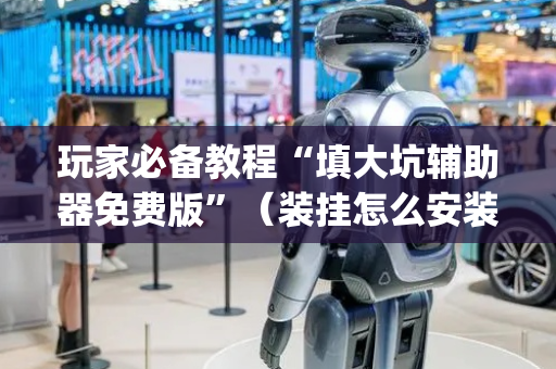 玩家必备教程“填大坑辅助器免费版”（装挂怎么安装)