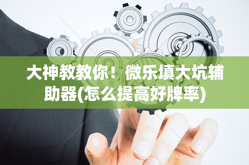 大神教教你！微乐填大坑辅助器(怎么提高好牌率)