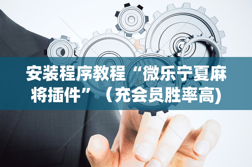 安装程序教程“微乐宁夏麻将插件”（充会员胜率高)
