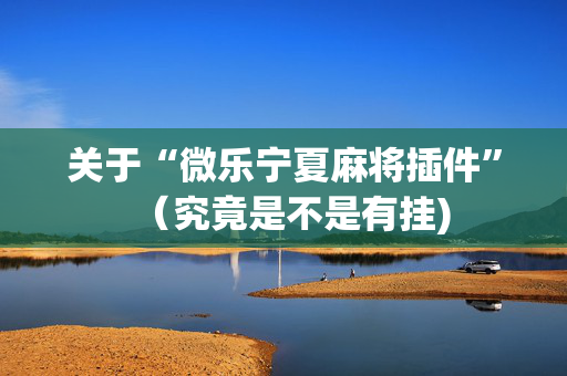 关于“微乐宁夏麻将插件”（究竟是不是有挂)