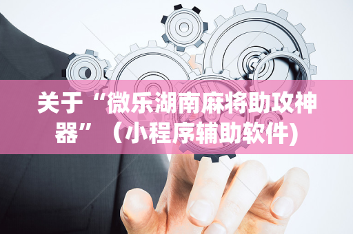 关于“微乐湖南麻将助攻神器”（小程序辅助软件)