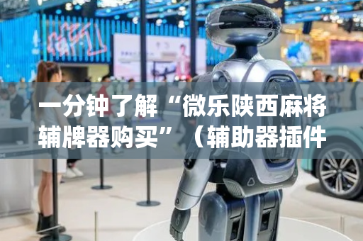 一分钟了解“微乐陕西麻将辅牌器购买”（辅助器插件)