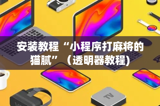 安装教程“小程序打麻将的猫腻”（透明器教程)