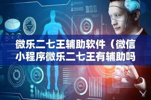 微乐二七王辅助软件（微信小程序微乐二七王有辅助吗）