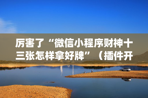 厉害了“微信小程序财神十三张怎样拿好牌”（插件开挂免费AI)