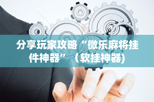分享玩家攻略“微乐麻将挂件神器”（软挂神器)