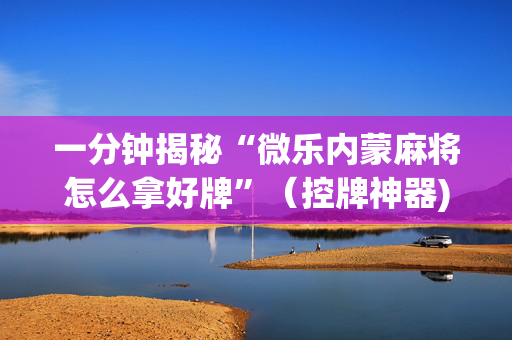 一分钟揭秘“微乐内蒙麻将怎么拿好牌”（控牌神器)