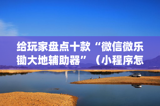 给玩家盘点十款“微信微乐锄大地辅助器”（小程序怎么才会赢)