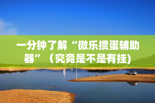 一分钟了解“微乐掼蛋辅助器”（究竟是不是有挂)