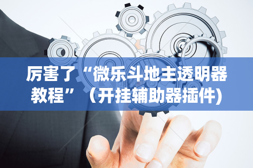 厉害了“微乐斗地主透明器教程”（开挂辅助器插件)