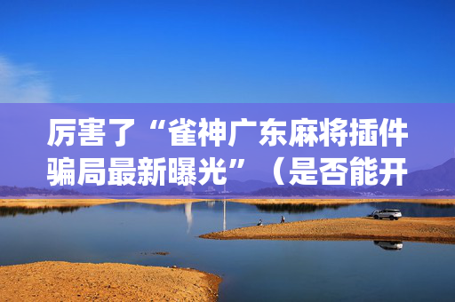 厉害了“雀神广东麻将插件骗局最新曝光”（是否能开挂)