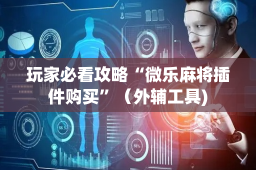 玩家必看攻略“微乐麻将插件购买”（外辅工具)