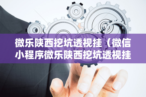 微乐陕西挖坑透视挂（微信小程序微乐陕西挖坑透视挂）