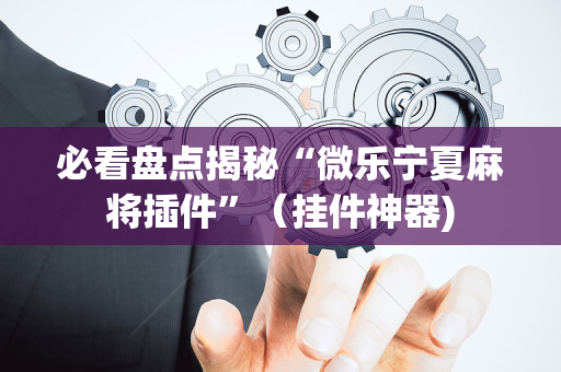 必看盘点揭秘“微乐宁夏麻将插件”（挂件神器)