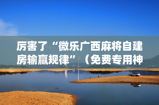 厉害了“微乐广西麻将自建房输赢规律”（免费专用神器)