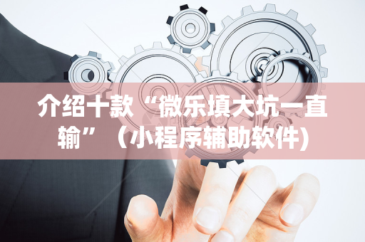 介绍十款“微乐填大坑一直输”（小程序辅助软件)
