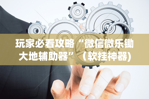 玩家必看攻略“微信微乐锄大地辅助器”（软挂神器)