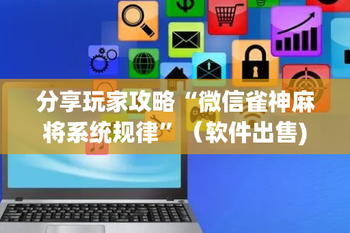 分享玩家攻略“微信雀神麻将系统规律”（软件出售)