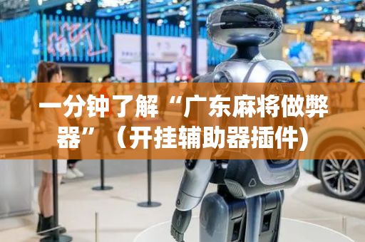 一分钟了解“广东麻将做弊器”（开挂辅助器插件)
