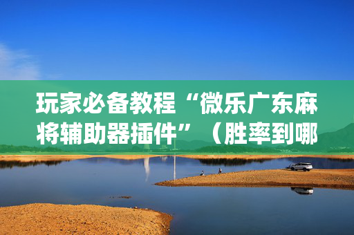 玩家必备教程“微乐广东麻将辅助器插件”（胜率到哪调)