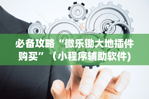 必备攻略“微乐锄大地插件购买”（小程序辅助软件)