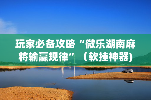 玩家必备攻略“微乐湖南麻将输赢规律”（软挂神器)
