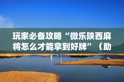 玩家必备攻略“微乐陕西麻将怎么才能拿到好牌”（助赢神器购买)