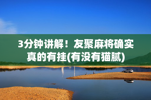 3分钟讲解！友聚麻将确实真的有挂(有没有猫腻)