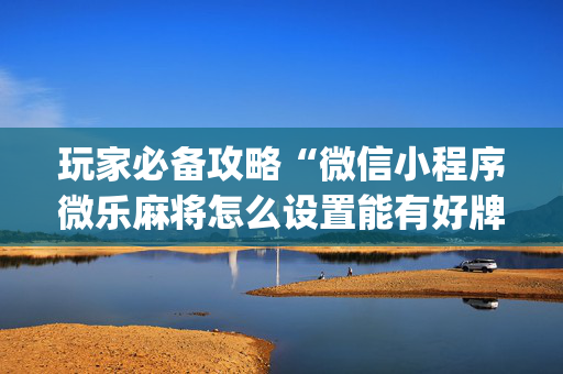 玩家必备攻略“微信小程序微乐麻将怎么设置能有好牌”（辅牌器插件购买)