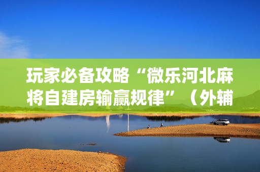 玩家必备攻略“微乐河北麻将自建房输赢规律”（外辅工具)