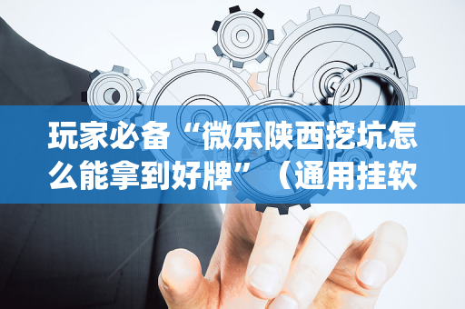 玩家必备“微乐陕西挖坑怎么能拿到好牌”（通用挂软件多少钱)