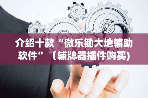 介绍十款“微乐锄大地辅助软件”（辅牌器插件购买)