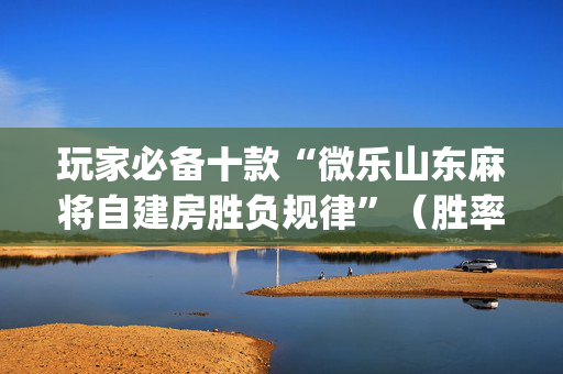 玩家必备十款“微乐山东麻将自建房胜负规律”（胜率到哪调)