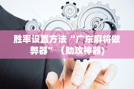 胜率设置方法“广东麻将做弊器”（助攻神器)