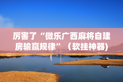 厉害了“微乐广西麻将自建房输赢规律”（软挂神器)