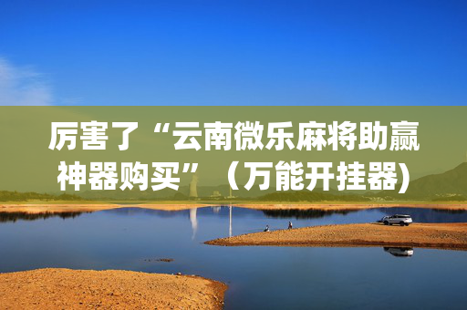 厉害了“云南微乐麻将助赢神器购买”（万能开挂器)
