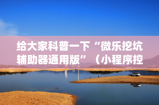 给大家科普一下“微乐挖坑辅助器通用版”（小程序控牌器)