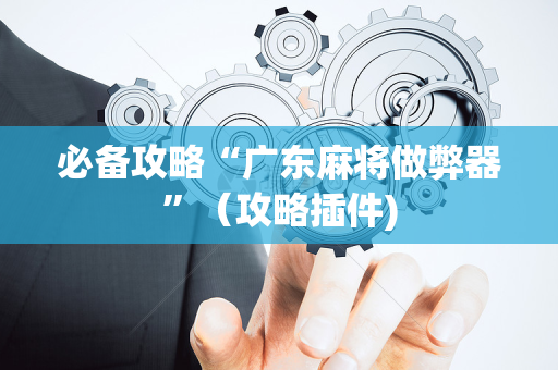 必备攻略“广东麻将做弊器”（攻略插件)