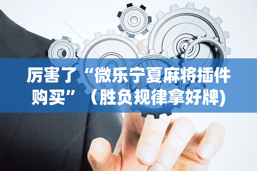 厉害了“微乐宁夏麻将插件购买”（胜负规律拿好牌)