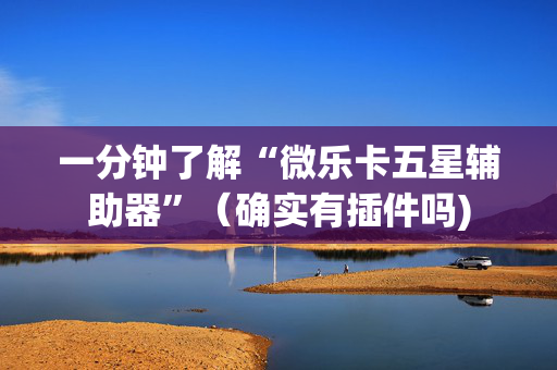 一分钟了解“微乐卡五星辅助器”（确实有插件吗)