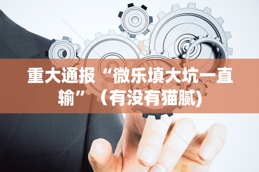 重大通报“微乐填大坑一直输”（有没有猫腻)
